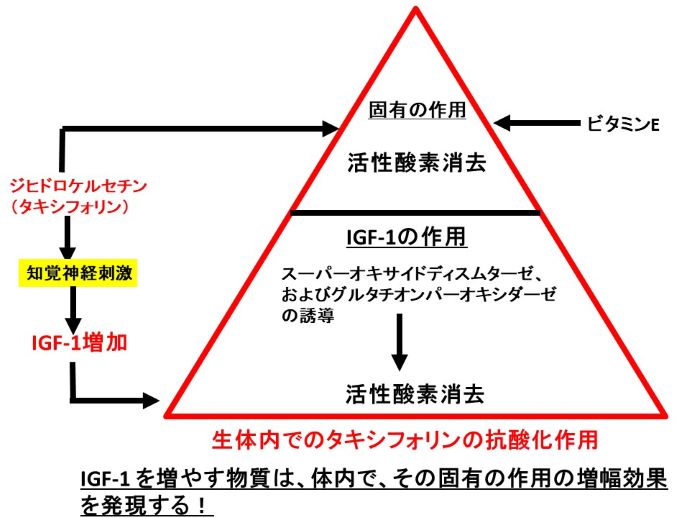 円形脱毛症　病院