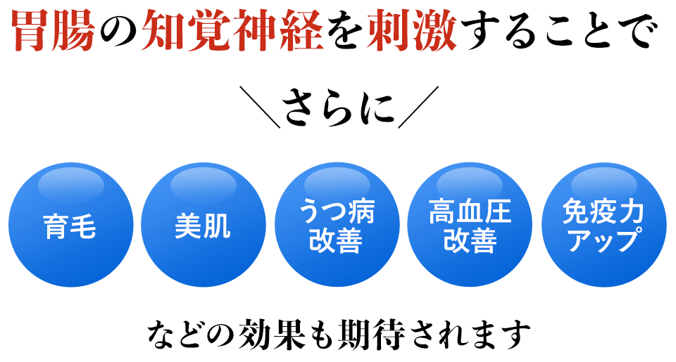 胃腸の知覚神経を刺激することで育毛、美肌、うつ病、高血圧、免疫力にも効果があります