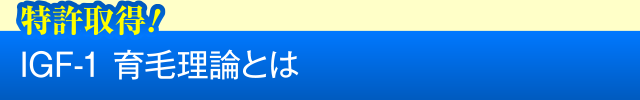 IGF-1 育毛理論とは